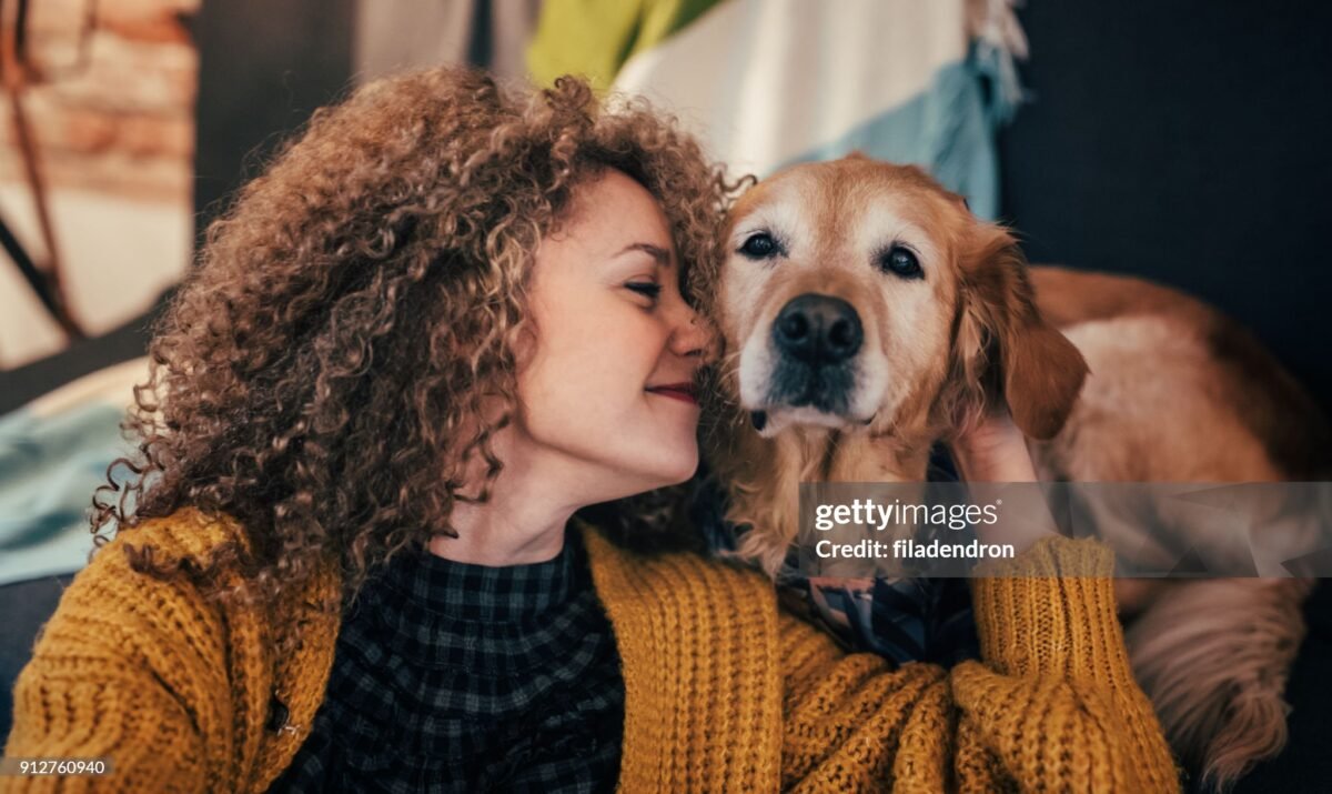 वैवाहिक विवादों में पालतू जानवरों (pets) की कस्टडी पर कानून की जरूरत