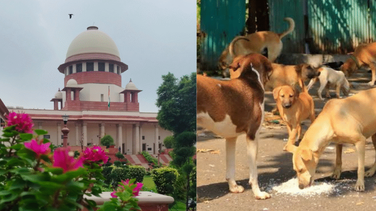 Red Bold Finance YouTube Thumbnail_20250811_132226_0000